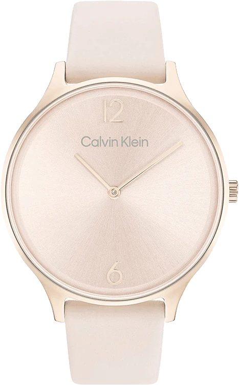 watches with oversized dial for easy viewing -25200009 Calvin Klein Watch For Women